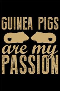 Guinea Pigs Are My Passion