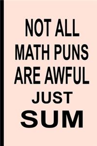 Not All Math Puns Are Awful Just Sum