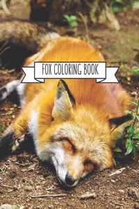Fox Coloring Book