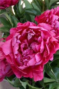2020 Weekly Planner Flowers Pretty Red Peonies 134 Pages
