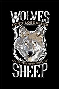 Wolves Don't Lose Sleep Over the Opinions of Sheep