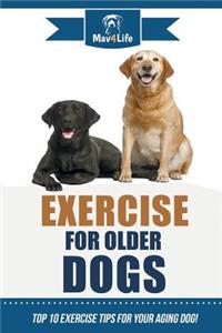 Exercise for Older Dogs