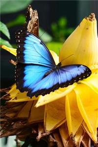 Blue Morpho Butterfly on a Banana Flower Journal