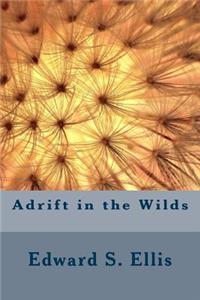 Adrift in the Wilds