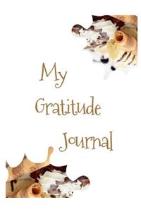 My Gratitude Journal