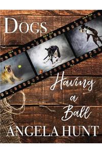 Dogs Having a Ball