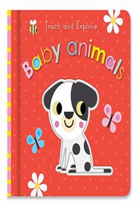 Touch and Explore Baby Animals