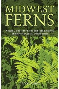 Midwest Ferns