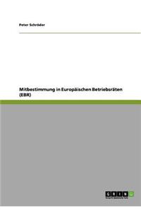 Mitbestimmung in Europäischen Betriebsräten (EBR)
