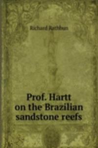Prof. Hartt on the Brazilian sandstone reefs