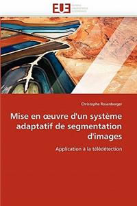 Mise En Uvre d'Un Système Adaptatif de Segmentation d'Images