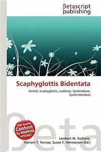 Scaphyglottis Bidentata