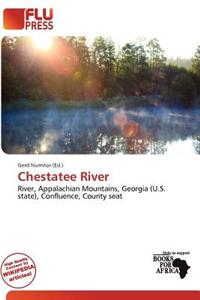 Chestatee River