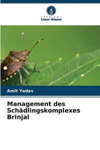 Management des Schädlingskomplexes Brinjal