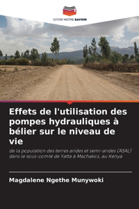 Effets de l'utilisation des pompes hydrauliques à bélier sur le niveau de vie