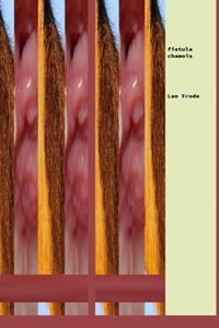 Fistula Chamois