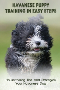 Havanese Puppy Training In Easy Steps