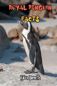 Royal Penguin Facts