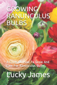Growing Ranunculus Bulbs