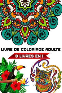 livre de coloriage adulte 3 livres en 1