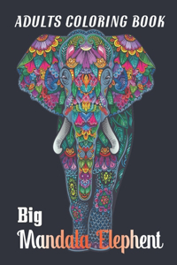 Adults Coloring Book Big Mandala Elephent