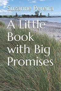 A Little Book with Big Promises