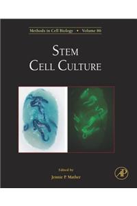 Stem Cell Culture