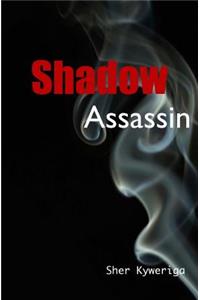 Shadow Assassin