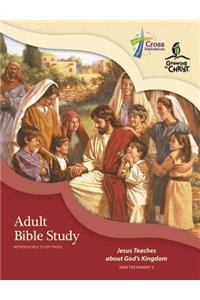 Adult Bible Study (Nt3)