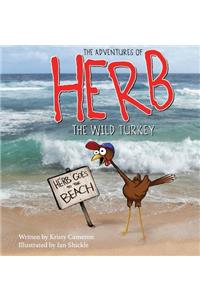Adventures of Herb the Wild Turkey - Herb Goes to the Beach