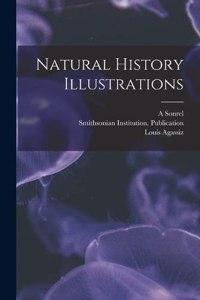 Natural History Illustrations