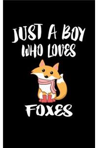 Just A Boy Who Loves Foxes