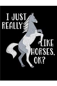 I Just Really Like Horses OK?