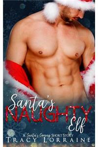 Santa's Naughty Elf