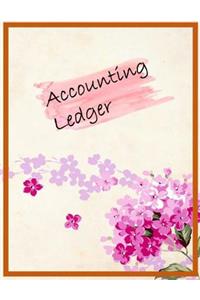 Accounting Ledger