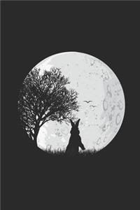Moon Rabbit