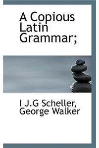 A Copious Latin Grammar;