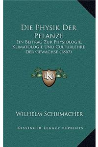 Physik Der Pflanze