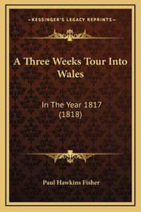 A Three Weeks Tour Into Wales