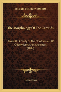 The Morphology Of The Carotids