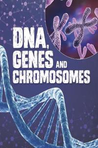 DNA GENES & CHROMOSOMES