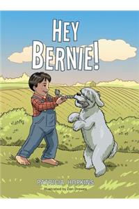 Hey Bernie!