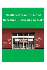 Reallocation in the Great Recession