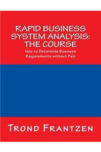Rapid Business System Analysis