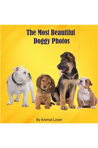 The Most Beautiful Doggy Photos