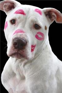 Cutes White Pit Bull Dog with Pink Lipstick Kisses Pet Journal
