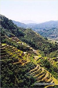 Banaue Rice Terraces