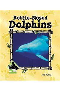 Bottle-Nosed Dolphins