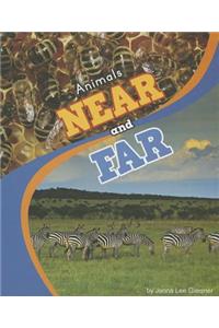 Animals Near and Far