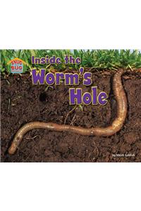 Inside the Worm's Hole